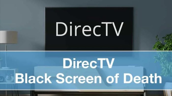 How To Fix DirecTV Black Screen of Death? (Guide)